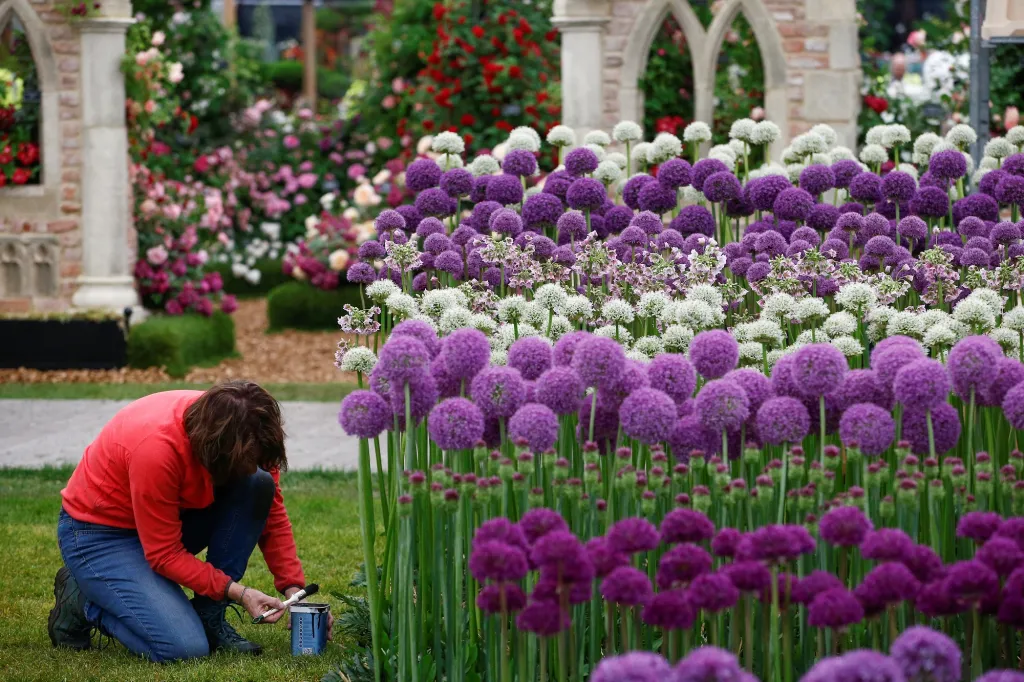 Chelsea Flower Show 2019