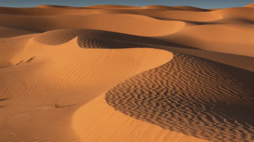 Sahara