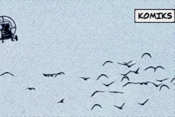 Ohrožený ibis skalní se učí migrační trasy