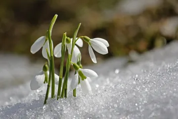 Přichází astronomické jaro... a do Česka se vrací zima