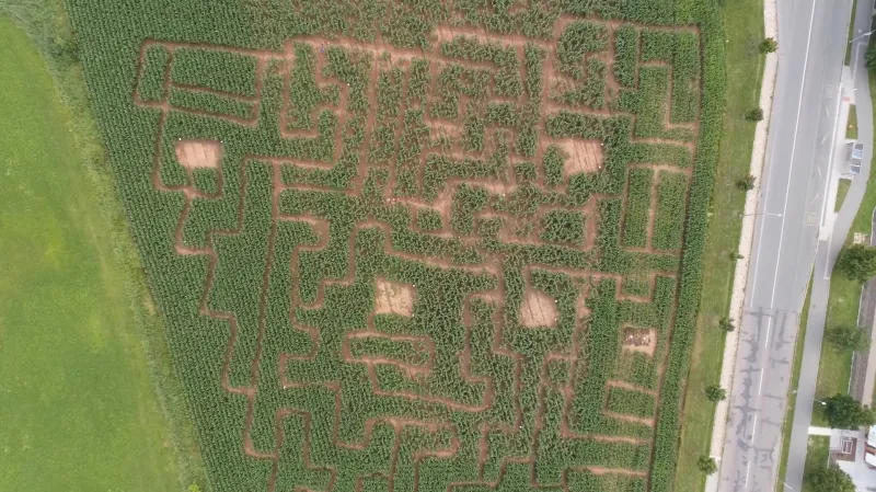 Kukuřičné bludiště z ptačí perspektivy