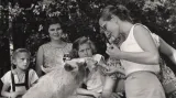 Návštěvnost brněnské zoo poklesla v 80. a 90. letech