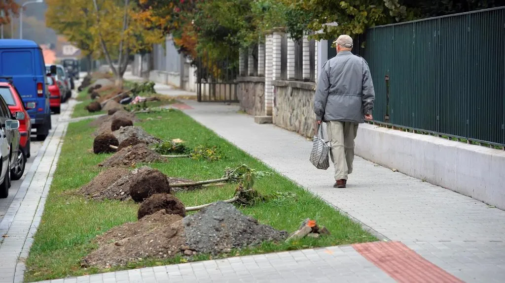 Pokus o rekord v sázení stromů - Květná ulice v Brně