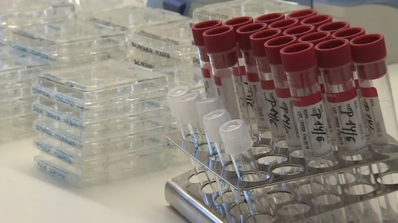 Patnáct procent narozených dětí je tzv. ze zkumavky