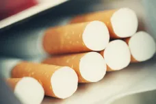 Prodejci cigaret na internetu neověřují věk zákazníků, jak jim ukládá zákon, zjistila kontrola