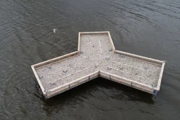 Ohrožení rybáci obsadili na Novomlýnských nádržích umělý ostrov. Vyvedli tam desítky mláďat