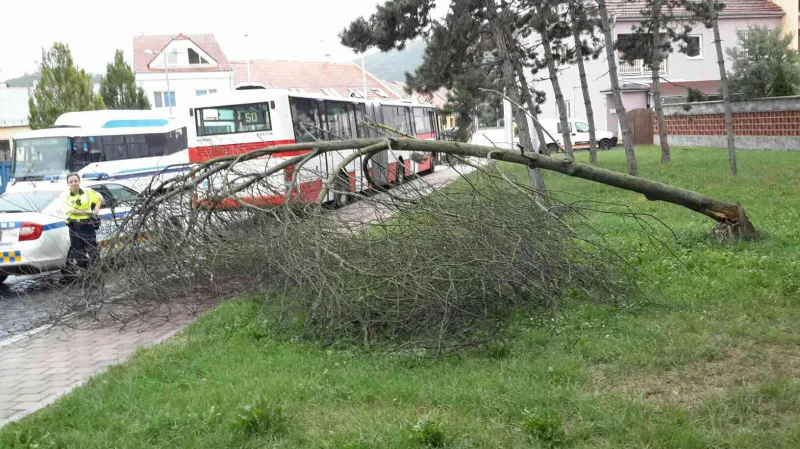 Následky řádění bouře na jižní Moravě
