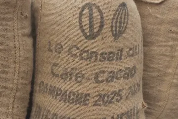 Kakaové boby nejdou na odbyt, dopady pociťují farmáři v západní Africe