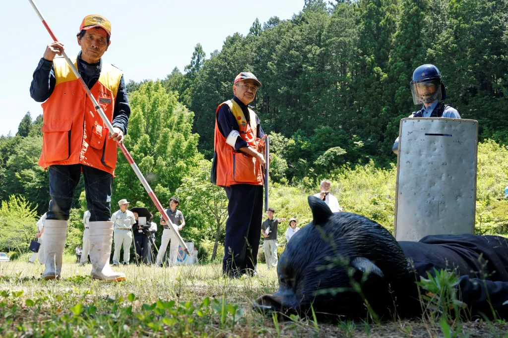 Cvičení simulující vniknutí medvěda v Japonsku