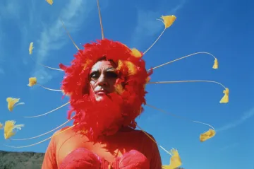 Když je život vzhůru nohama. Aussie & Kiwi Fest přiváží filmový výběr od protinožců