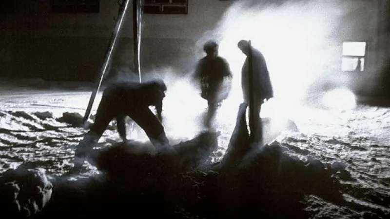 Peter Župník / Soukromé pátrání