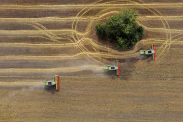 Maďarsko zakázalo dovoz ukrajinského obilí. Následuje tak krok Polska