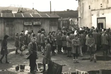 Eva Clarke se narodila v místě nacistického vraždění. S matkou pak emigrovala po komunistickém puči