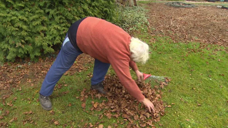 Spadané listí je jedním z příkladů bioodpadu