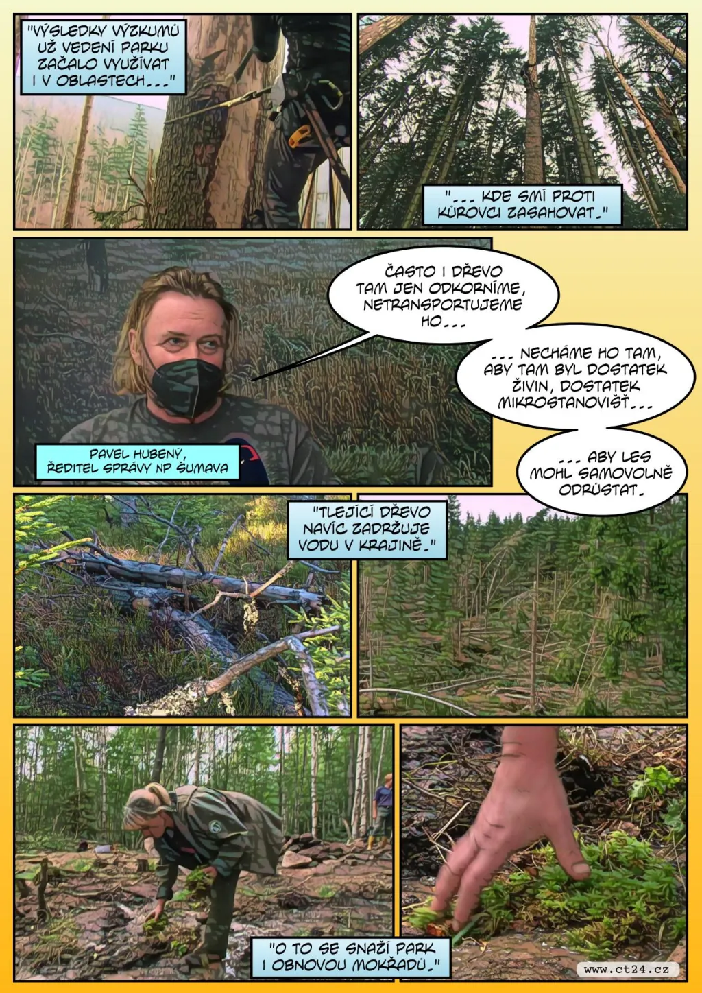 Šumavské lesy se rychle regenerují