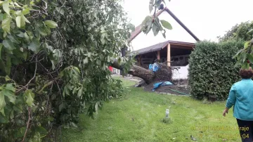 Spadlý strom na Plzeňsku