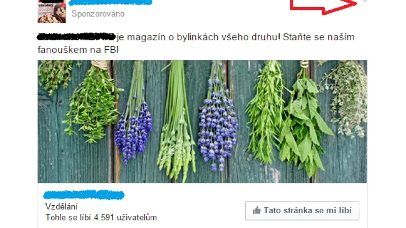 Facebook - reklama