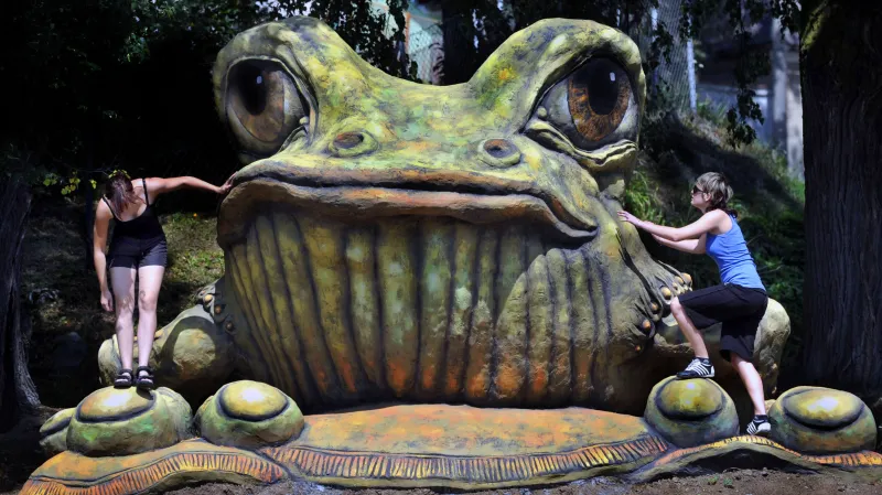 Žába v obci Tršice na Olomoucku