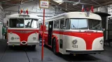 V muzeu odpočívají mj. i trolejbusy Tatra či Škoda, které si odsloužily své roky v 50. až 70. letech