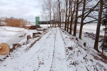 Na Benešovsku majitel rybníka pokácel desítky zdravých stromů
