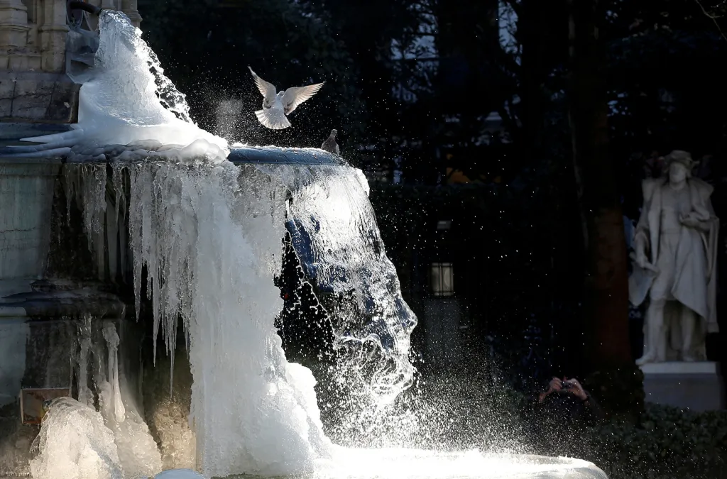Holubi hrající si na zamrzlé fontáně Counts of Egmont and Hornes v centru Bruselu