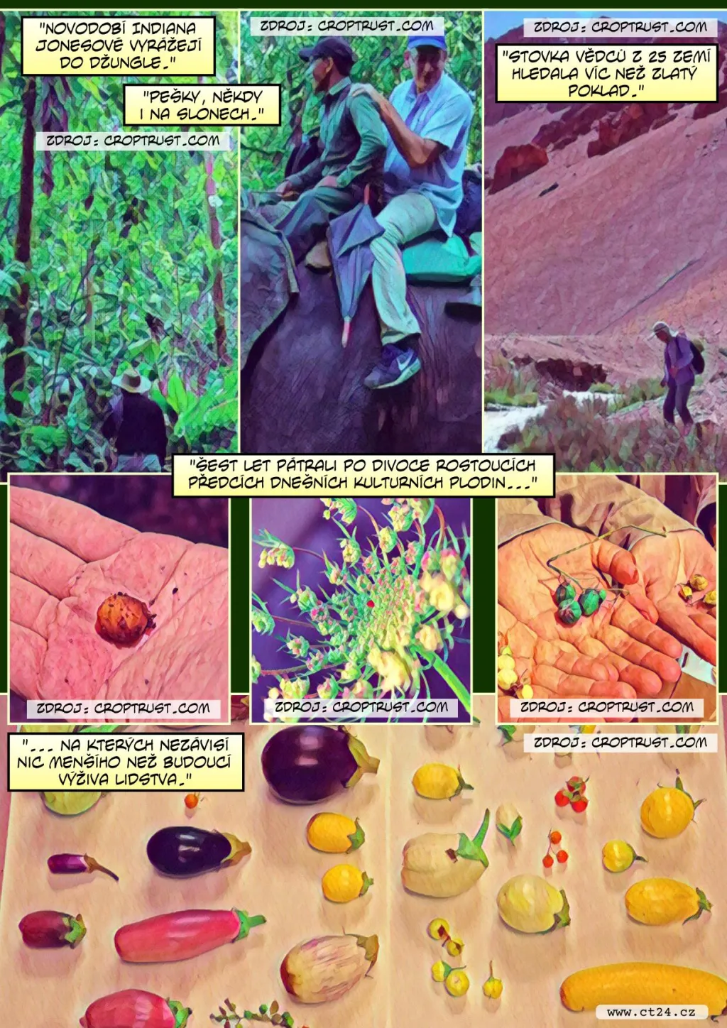 Úroda je kvůli změnám klimatu stále více nejistá. Vědci se snaží současné plodiny geneticky posílit