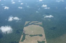 V Brazílii za rok zmizelo přes 13 tisíc čtverečních kilometrů pralesa. Mýcení vzrostlo nejvíce za 15 let