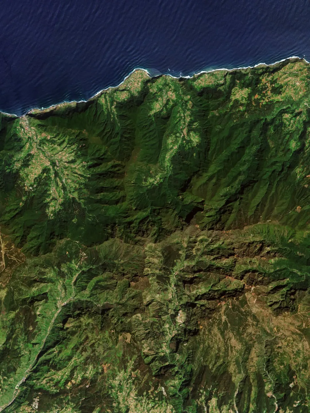 Vavřínový les Laurisilva na Madeiře, Portugalsko