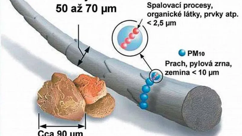 Velikost prachových částic