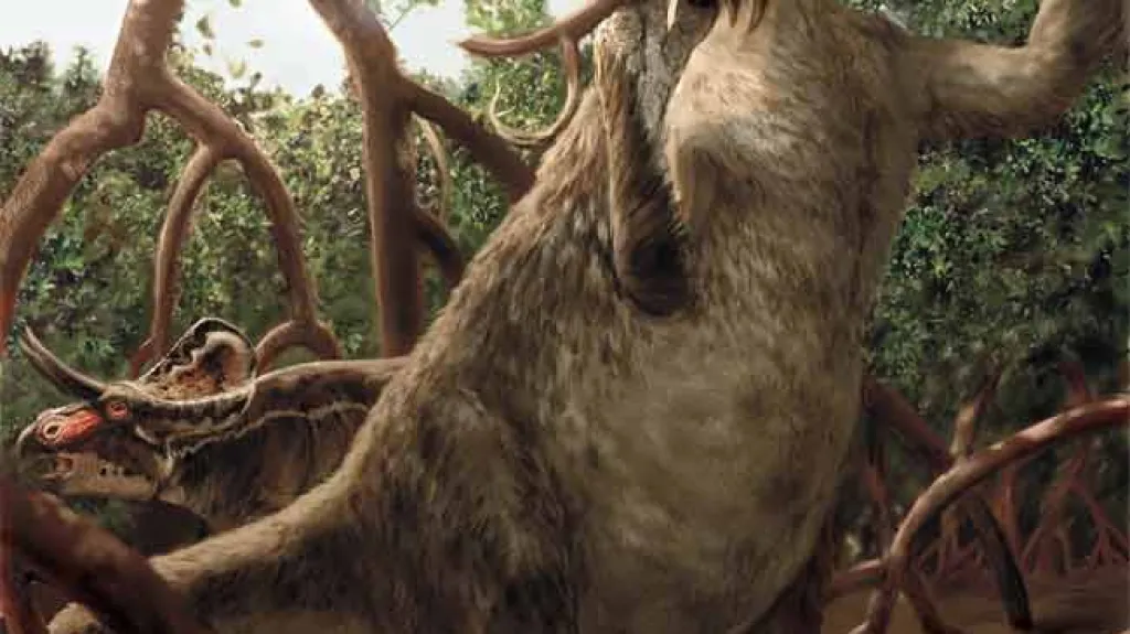 Nothronychus graffami