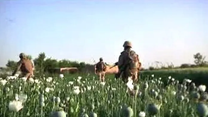 Vojáci v makových polích v Afghánistánu