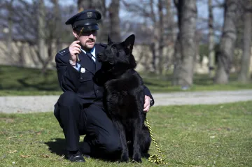 Nejstatečnějšími psy byli Gauner, Konor nebo Irr. Jeden našel ztraceného seniora, další zachránil pána před medvědem