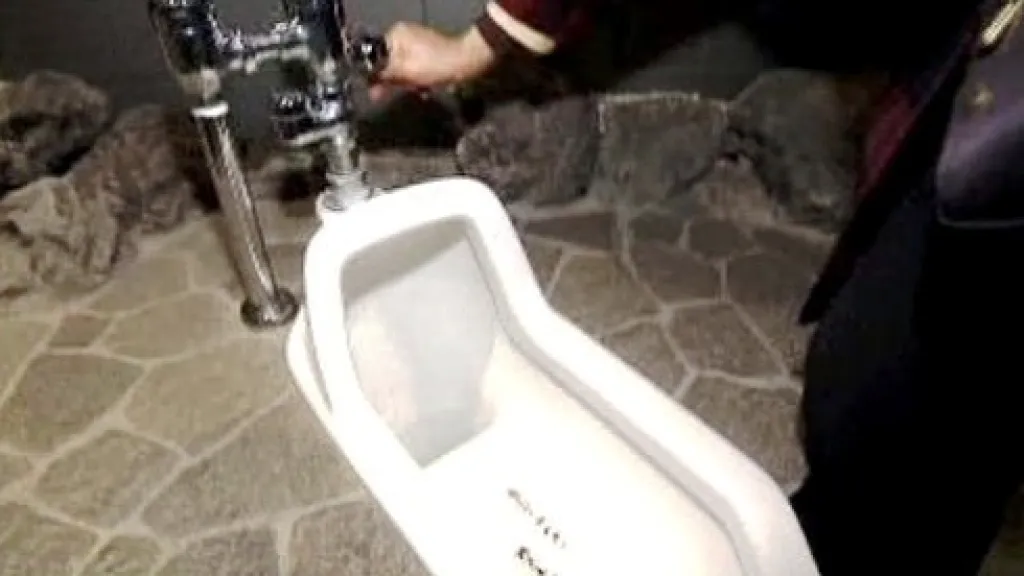 V Japonsku problémy splachují