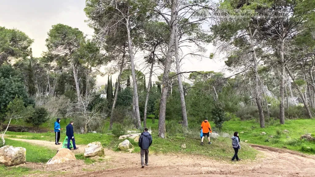 Masarykův les v Izraeli obnovovali brněnští arboristé