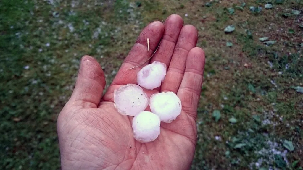 Kroupy, které padaly v Klenčí pod Čerchovem