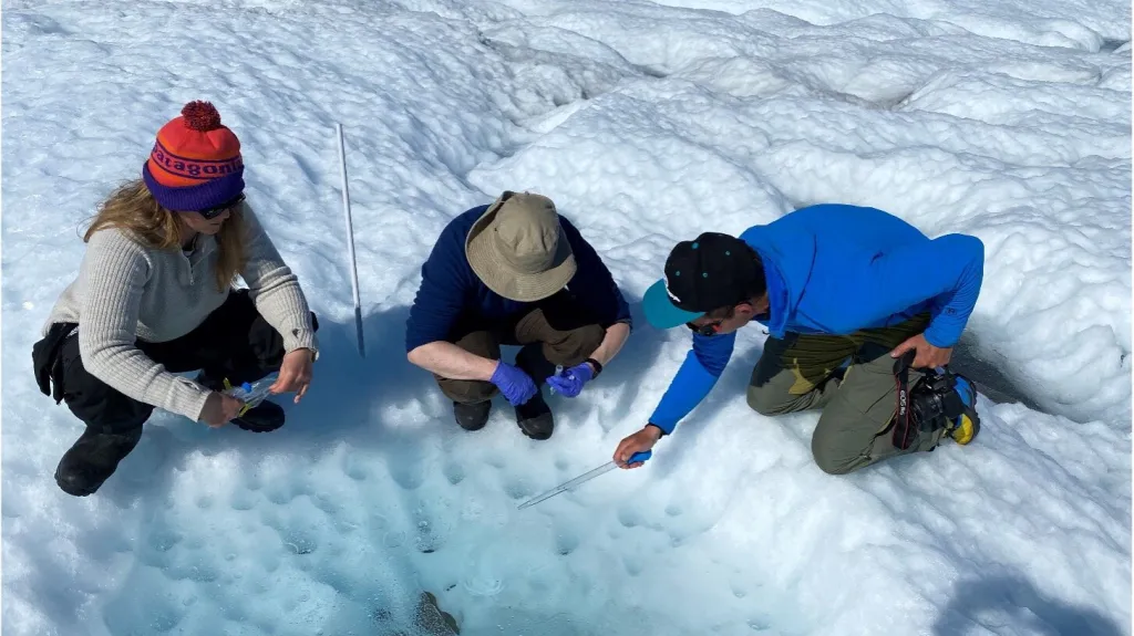 Vědci našli v grónském ledu čtyři tisíce druhů mikroorganismů