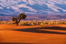 Před šesti tisíci lety byla Sahara zelená. Vědci popsali, proč se změnila na poušť