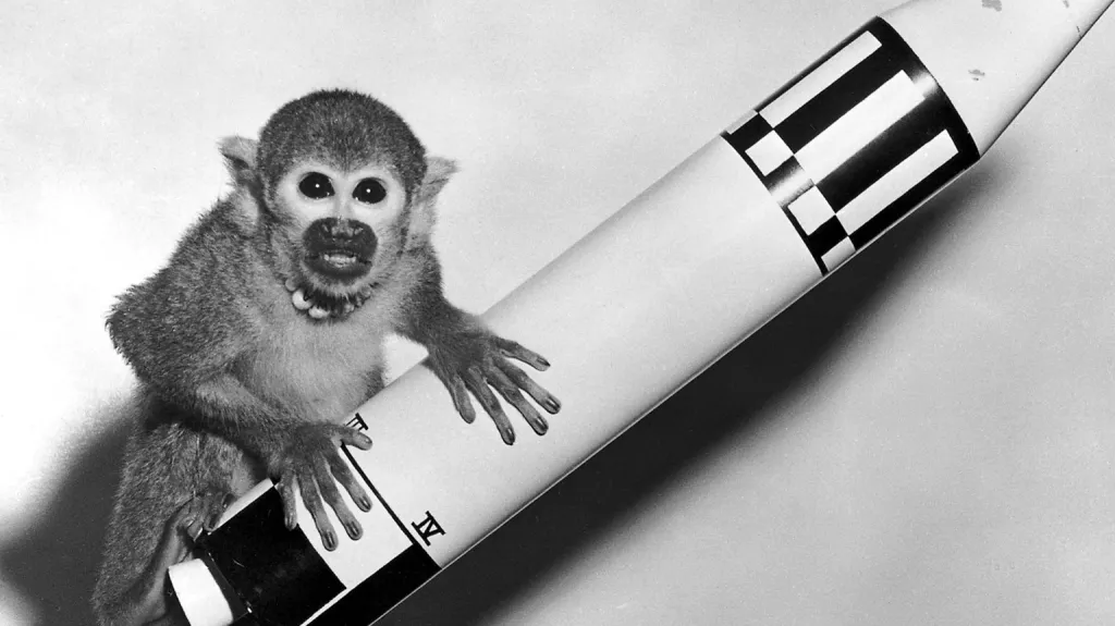 Opice Baker použitá při suborbitálním letu rakety Jupiter
