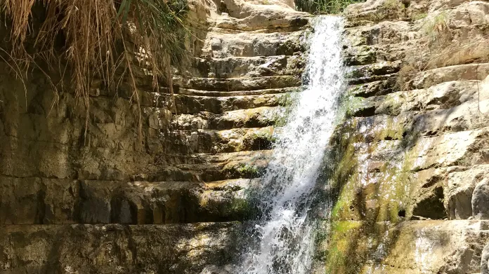 Přírodní rezervace Ejn Gedi v Izraeli