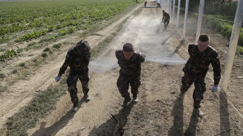 Stavba maďarského plotu