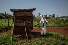 V Guineji zemřeli čtyři lidé na ebolu, země vyhlásila začátek epidemie