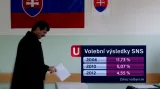 Volební výsledky SNS