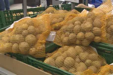 Cena brambor se stále drží kolem historického maxima. Obchodníci nezlevňují