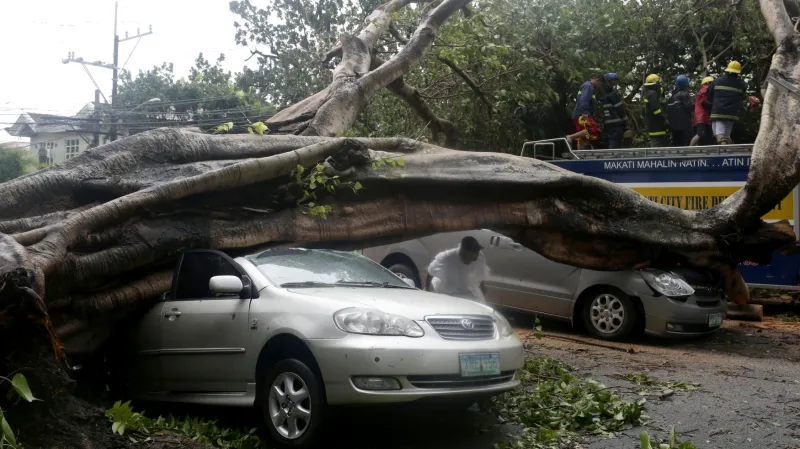 Škody po tajfunu Glenda (Rammasun)