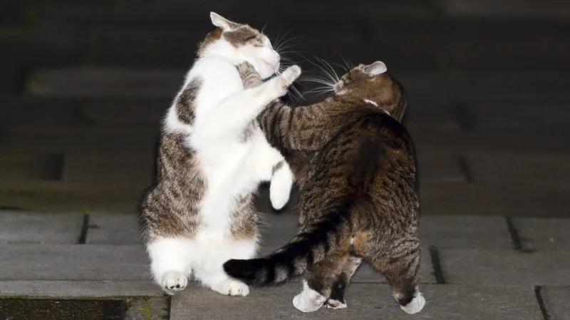 Larry a Freya nejsou přátelé