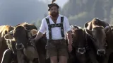 Návrat krav z alpských pastvin