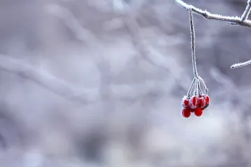 Česko má za sebou další mrazivou noc. Podle meteorologů bude chladné počasí pokračovat