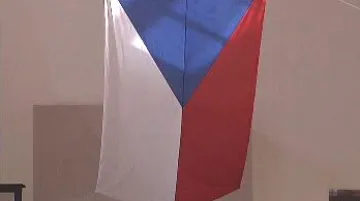 Státní vlajka ČR