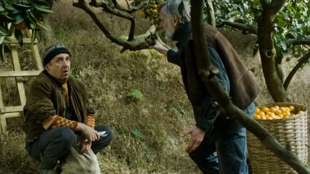 Mandarinky (Tangerines)