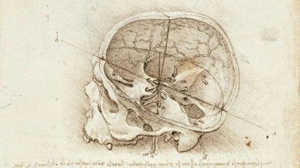 Leonardo da Vinci – A cranium sectioned (1489)
